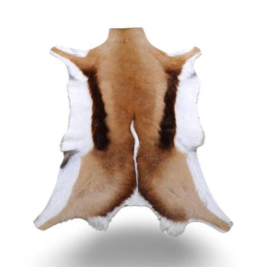 Springbok Skins - 1st GRADE - 0.45 x 1.00 m. ✈️📦 Complimentary Worldwide Shipping.