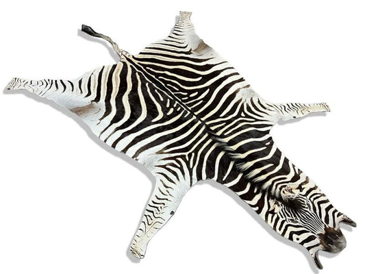 Elegant Zebra Hide - 2.10 x 2.70 m. 🎁Includes An Exclusive Gift!